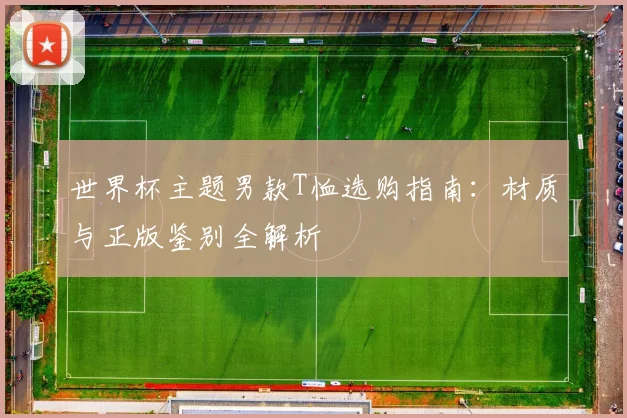 世界杯主题男款T恤选购指南：材质与正版鉴别全解析