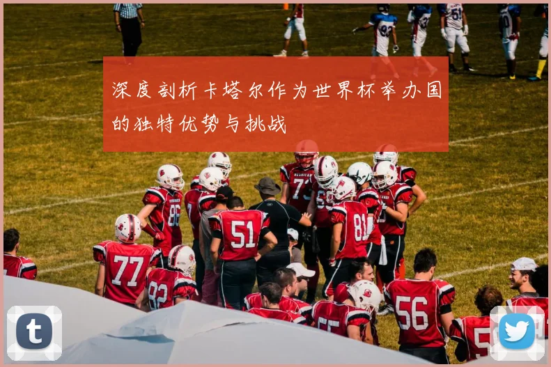 深度剖析卡塔尔作为世界杯举办国的独特优势与挑战
