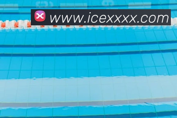 kaiyun.com.cn平台生态图