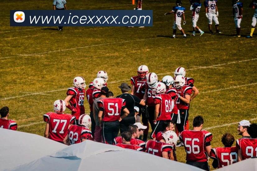 kaiyun.com.cnAPP 封面图